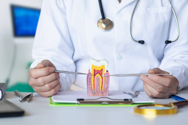 Best Emergency Dental Care for Sports Injuries in Mill Plain, CT